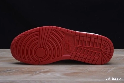 JORDAN AIR 338 RETRO 1 DailyWear 1010